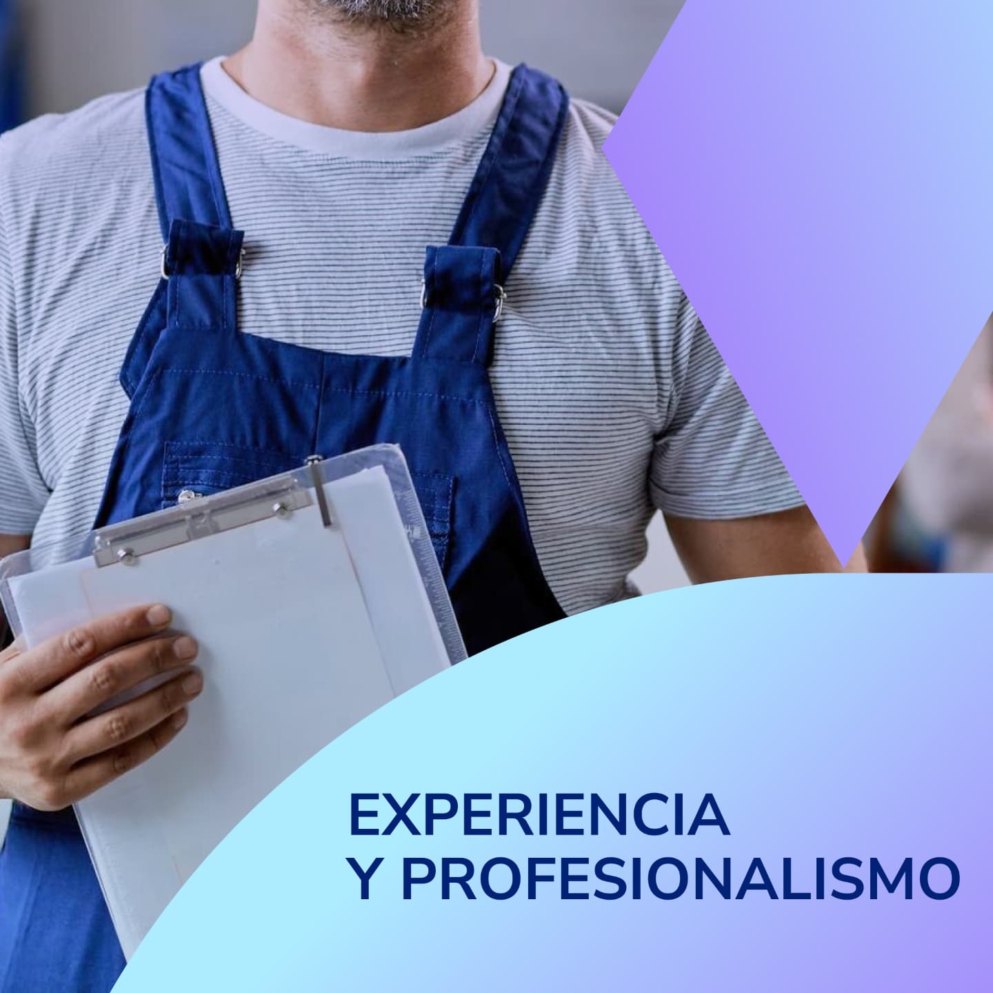 Experience